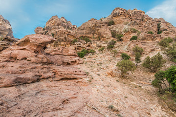 Fototapeta premium desert scenic near petra jordan