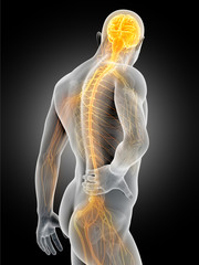 a man having acute pain in the back