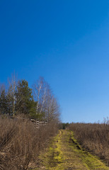 road in the field