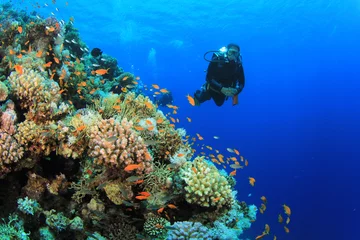 Deurstickers Duiken Duiken op koraalrif