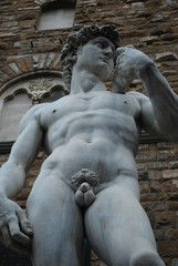 Naklejka premium David Michelangelo Florance