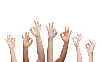 human hands showing ok sign