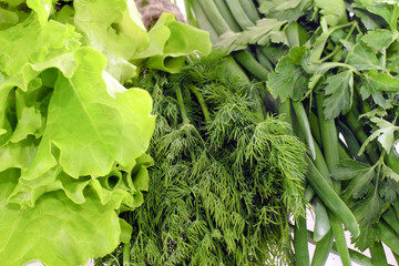 Green Healthy Backgound