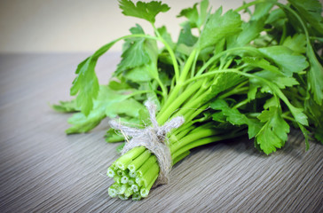 Fresh Green Parsley over Woody Old Background