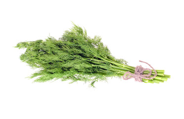 Fennel Isolated on a White Background