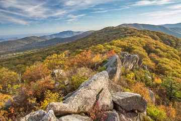 Fotobehang summit of Mary's rock in Shenandoah National Park, Virginia,  © peteleclerc