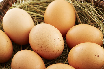 Korb mit braunen Hühnereier im Detail 2