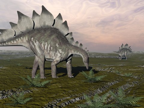Hungry stegosaurus - 3D render