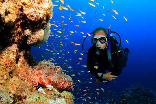 Scuba Diver and Scorpionfish