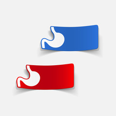 realistic design element: stomach, medical