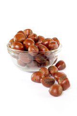 Obraz premium Chestnut in glass blow