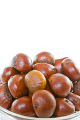 Close up chestnut