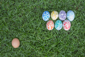 Colorful Easter Eggs, Grass background