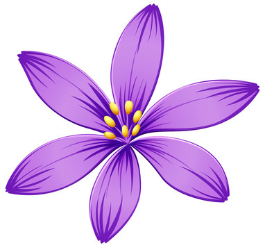 A five-petal purple flower