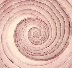 Onion infinity spiral abstract background. Fibonacci
