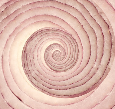 Onion infinity spiral abstract background. Fibonacci