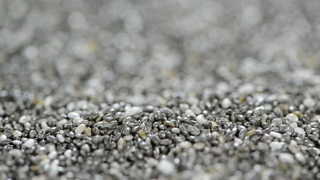 Chia Seeds (loopable)