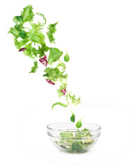 Fresh mixed vegetables