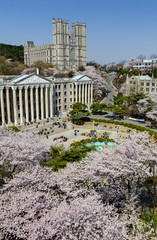 Korea spring
