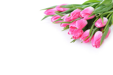 pink tulips