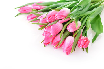 pink tulips