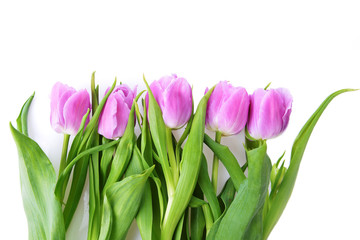 pink tulips