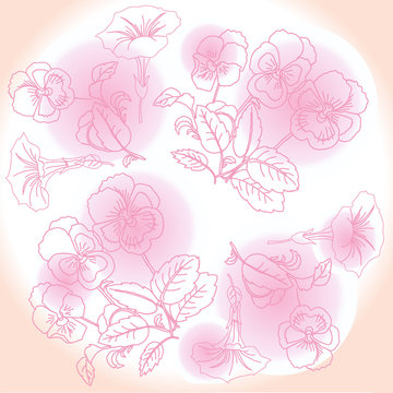 Pink Background with  pansies and bindweed. Vector illustration