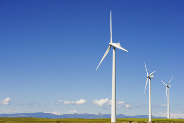 Fototapeta premium wind energy