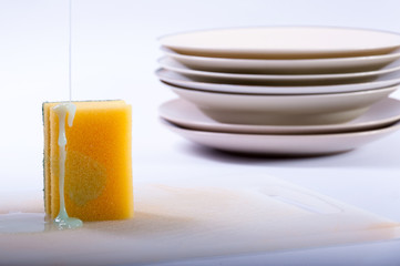 Sponge and plates