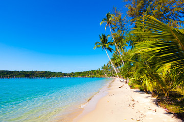 beautiful beach and tropical sea