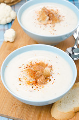 cold cauliflower soup with cottage cheese and croutons, vertical