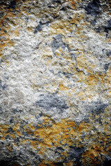 Stone