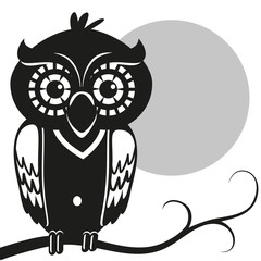 owl