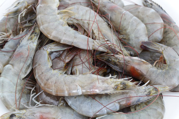 Fresh shrimp