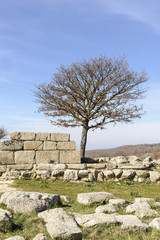 Tombs of giants. particular