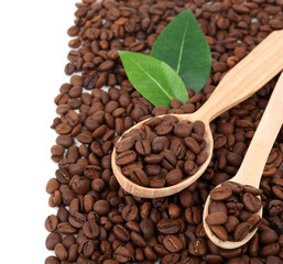 Coffee beans close-up