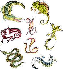 miscellaneous reptiles