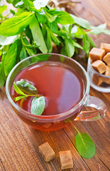 mint tea