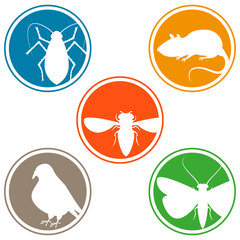 ungeziefer schädling icon symbol zeichen