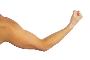 Man's muscular arm on white background