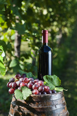 Obraz na płótnie Canvas Red wine and old barrel in a vineyard.