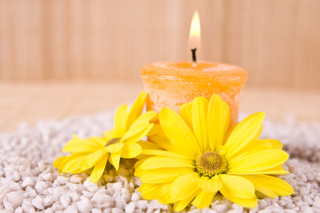Fototapeta na wymiar spa motive with flowers and candle