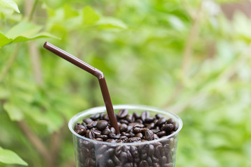 Close up of coffee  bean in glass