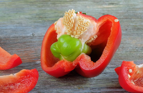 Paprika Mutation rot-gr&uuml;n Koalition