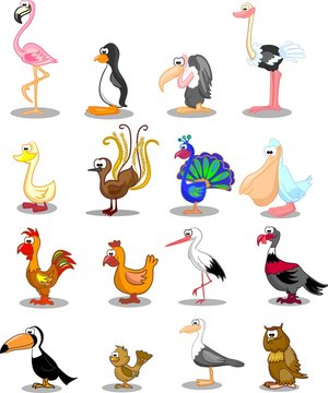 Набор различных птиц