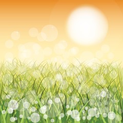 Fototapeta premium Yellow sunrise. Vector background EPS10