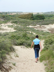 Fototapeta premium promenade dune sable