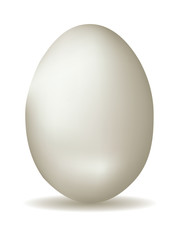 White Egg