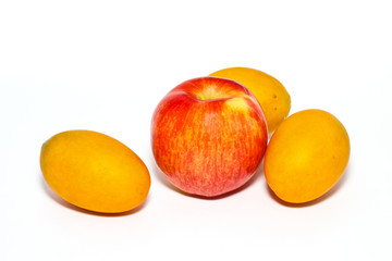 the appetizer fruit on white background