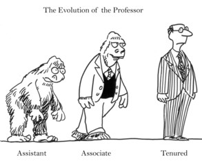 Evolution of the Professor
